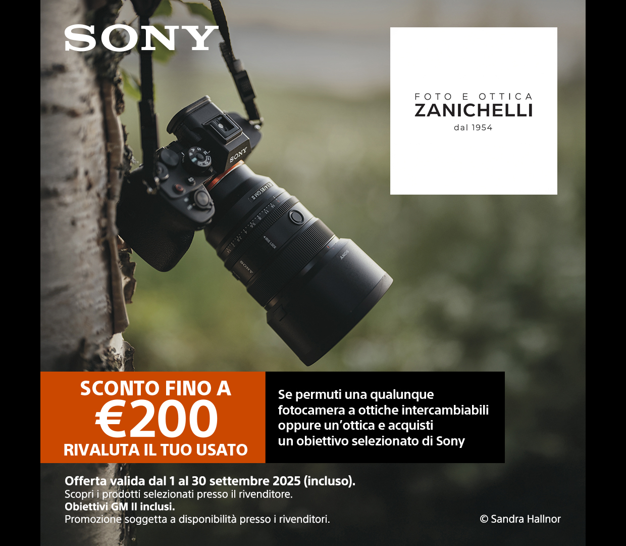 Promozione Ottica Zanichelli