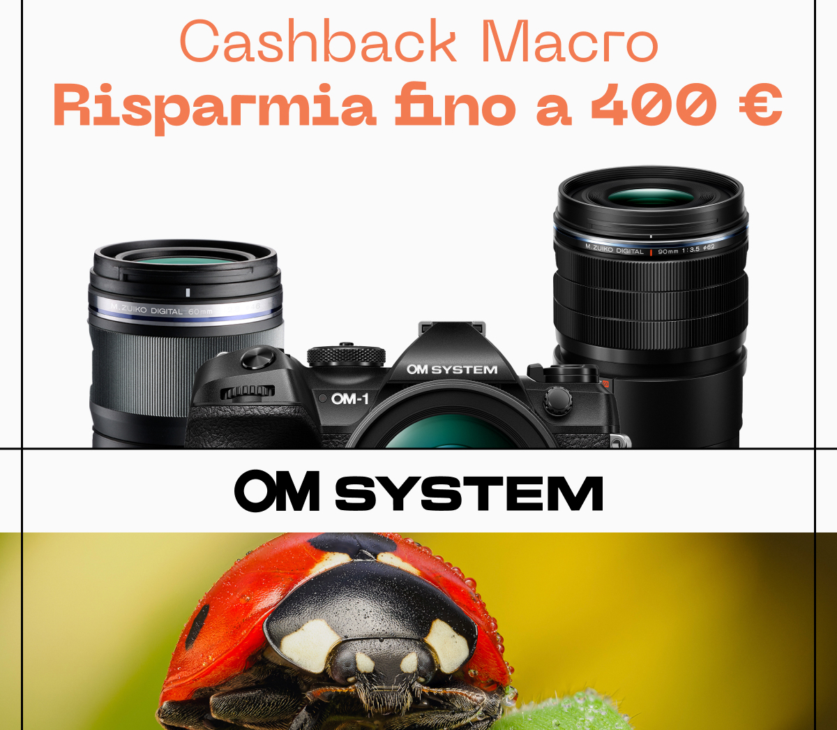 Promozione Ottica Zanichelli