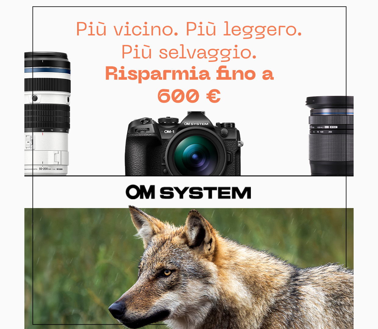 Promozione Ottica Zanichelli