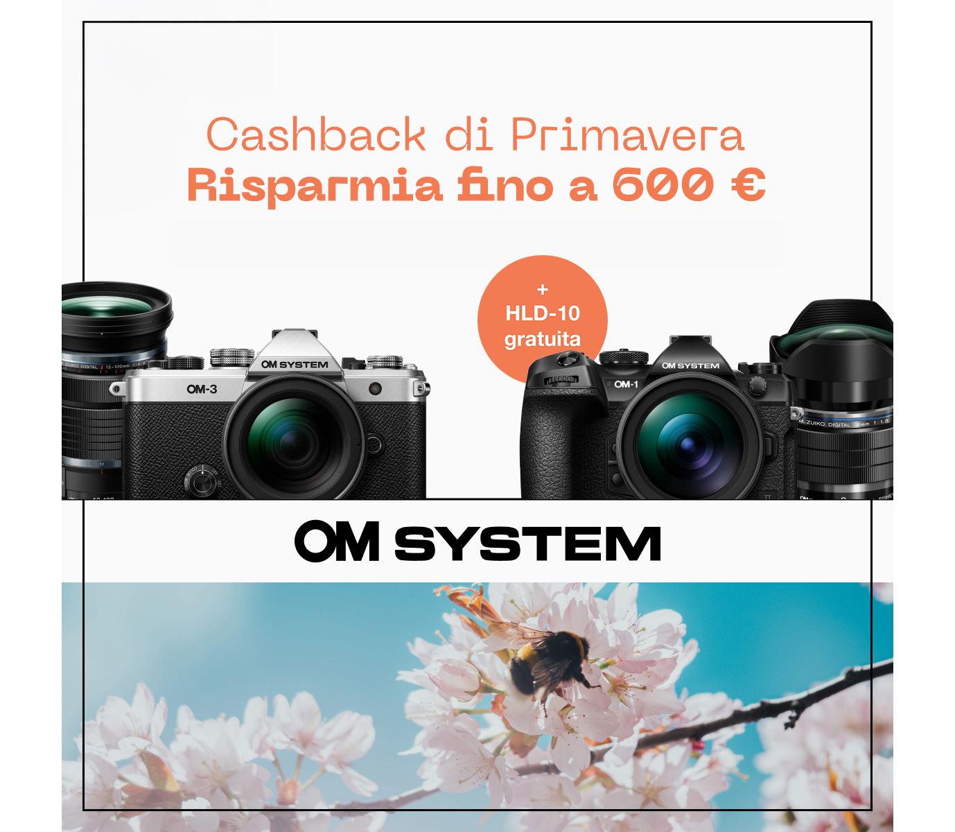Promozione Ottica Zanichelli
