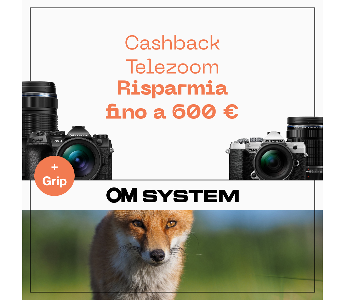 Promozione Ottica Zanichelli