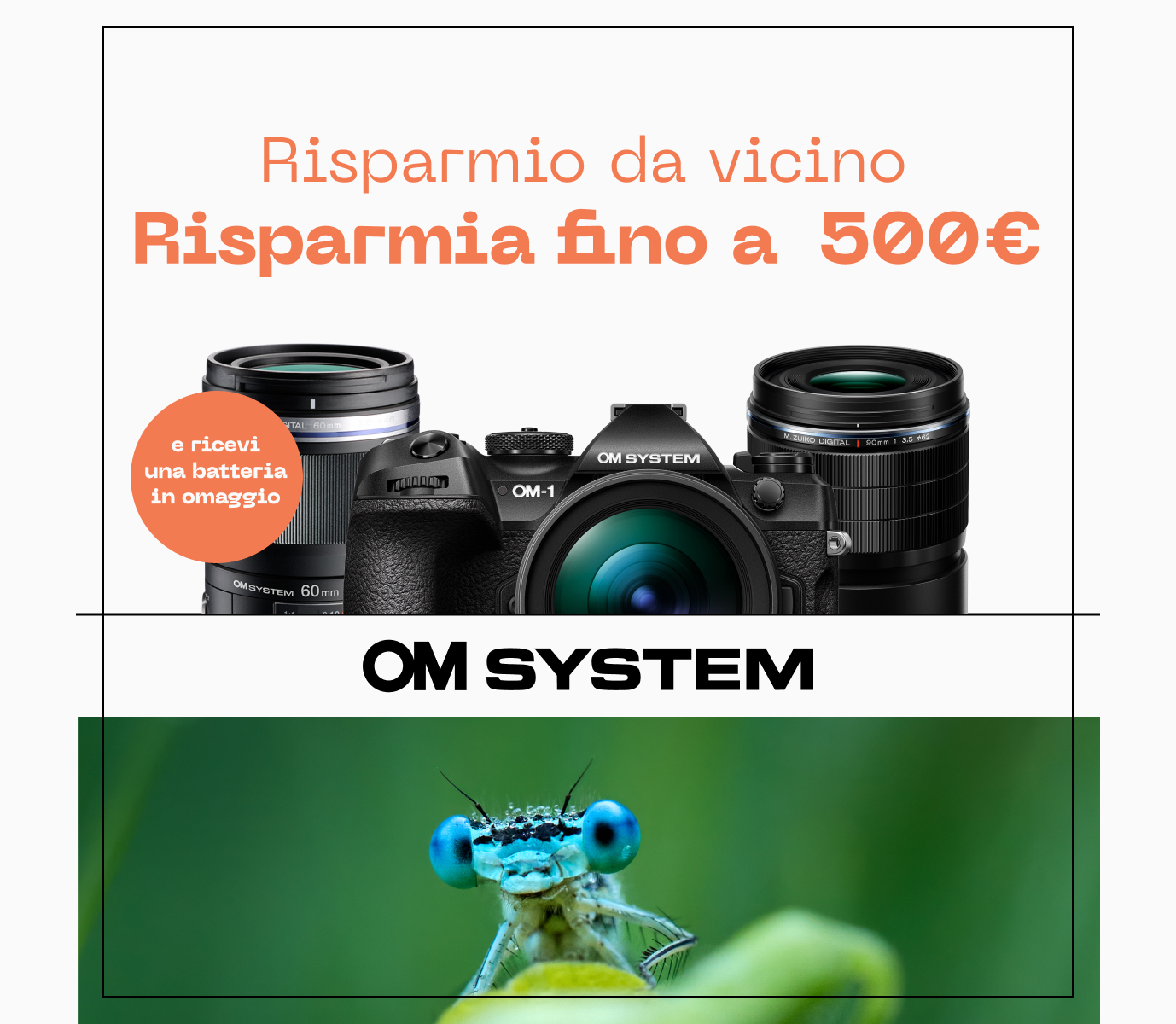Promozione Ottica Zanichelli
