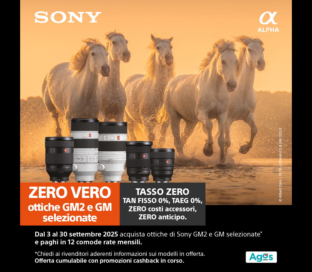 Promozione Ottica Zanichelli
