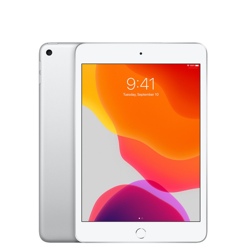 Apple Ipad mini 5 9.7 WI-FI + Cellular 256Gb Silver PRE OWNED