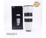 Sony FE 100-400mm f/4.5-5.6 GM OSS Usato 
