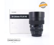Sigma 14-24mm F2.8 DG HSM ART 