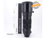 Sigma 120-300mm f/2.8 DG S 