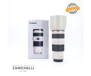 Canon EF 70-200mm f/4 L IS USM Usato 