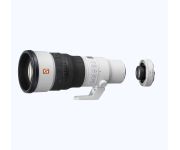 Sony FE 600mm F6.3 GM OSS + Sony TC 1.4X 