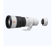 Sony FE 600mm F6.3 GM OSS + Sony TC 2X 