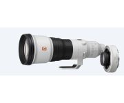 Sony FE 600mm F4 GM OSS + SONY TC 1.4X 