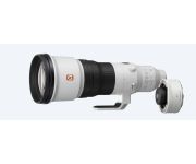 Sony FE 600mm F4 GM OSS + SONY TC 2X 