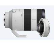 Sony FE 70-200mm F4 Macro G OSS II + SONY TC 1.4X 