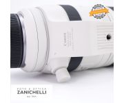 Canon RF 100-500mm F/4.5-7.1 L IS USM Usato 