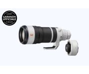 Sony FE 100-400mm F4.5 GM OSS + SONY TC 2X 