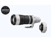 Sony FE 100-400mm F4.5 GM OSS + SONY TC 1.4X 