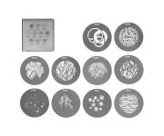 Nanlite AS-GB-B-SET2 cornice di luce & accessorio Diffusore