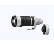 Sony FE 100-400mm F4.5 GM OSS + SONY TC 1.4X 