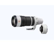 Sony FE 100-400mm F4.5 GM OSS + SONY TC 2X 