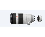 Sony FE 100-400mm f/4.5-5.6 GM OSS + SONY TC 1.4X 