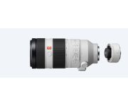 Sony FE 100-400mm f/4.5-5.6 GM OSS + SONY TC 2X 