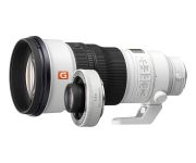 Sony FE 300mm f/2.8 GM OSS + SONY TC 1.4X 