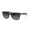 WAYFARER LITEFORCE 0RB4195-63318G colore