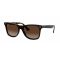 BLAZE WAYFARER 0RB4440N-710/13 colore