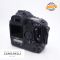 Canon EOS 1D Mark IV 118503 Scatti Usato - foto anteprima 3