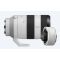 Sony FE 70-200mm F4 Macro G OSS II + SONY TC 2X