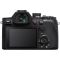 Sony RX10 V- foto anteprima 2