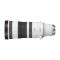 Canon RF 100-300mm F2.8 L IS USM- foto anteprima 2