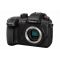Panasonic Lumix DMC-GH5S Body Black 