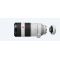 Sony FE 100-400mm f/4.5-5.6 GM OSS + SONY TC 1.4X