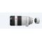 Sony FE 100-400mm f/4.5-5.6 GM OSS + SONY TC 2X 