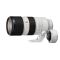 Sony FE 70-200mm f/2.8 GM OSS + SONY TC 2X