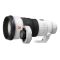 Sony FE 300mm f/2.8 GM OSS + SONY TC 1.4X