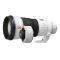 Sony FE 300mm f/2.8 GM OSS + SONY TC 2X