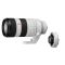 Sony FE 70-200mm f2.8 GM II OSS + SONY TC 1.4X