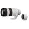 Sony FE 70-200mm f2.8 GM II OSS + SONY TC 2X
