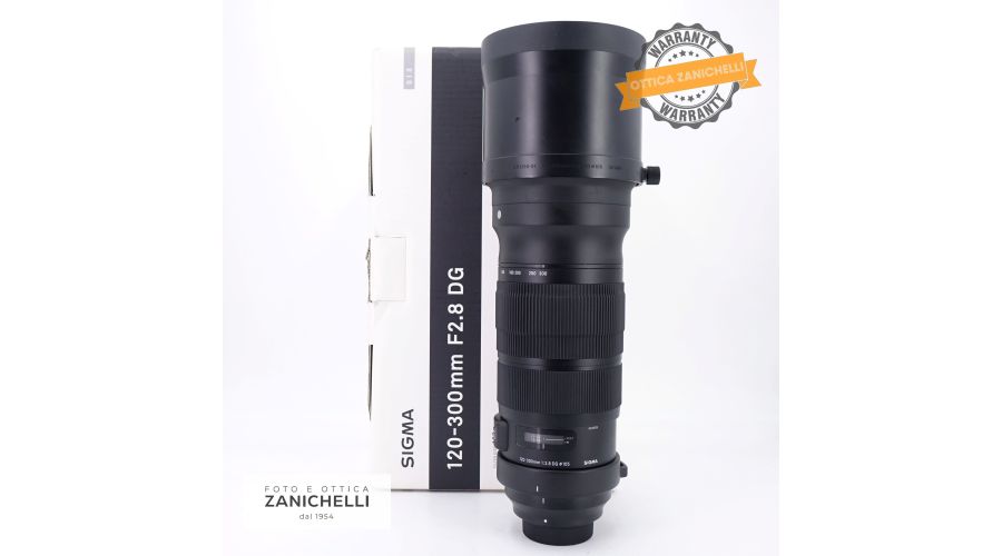 Sigma 120-300mm f/2.8 DG S 