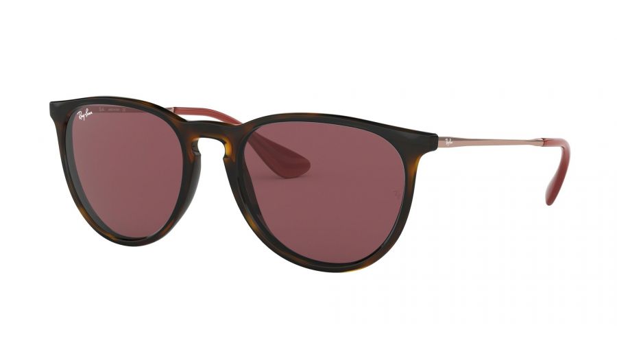 Ray-Ban ERIKA 0RB4171-639175 