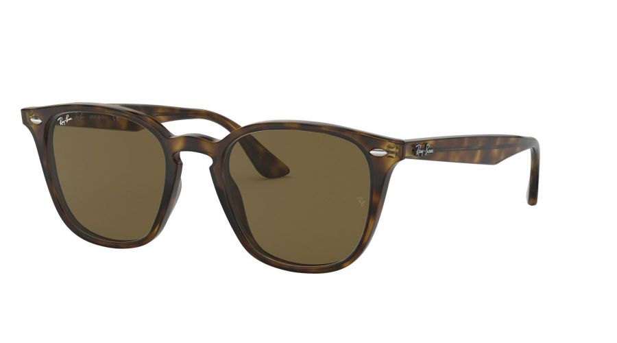 Ray-Ban 0RB4258-710/73 