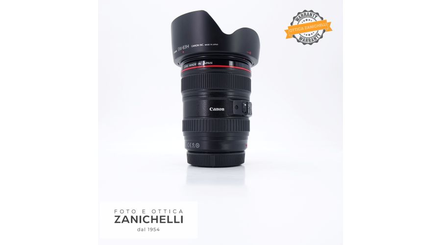 Canon EF 24-105mm f/4 L Usato 