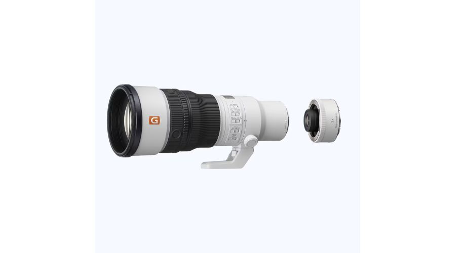 Sony FE 600mm F6.3 GM OSS + Sony TC 2X