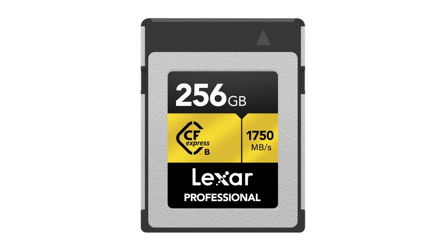 Lexar Professional CFexpress Type B Gold 256GB