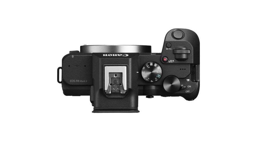 Canon EOS R8 Mark II + RF 24-105mm F4.0-7.1 IS STM- foto 4
