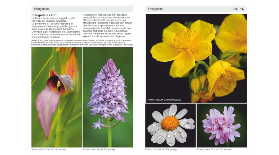 Fotografia digitale vol.1- foto 3