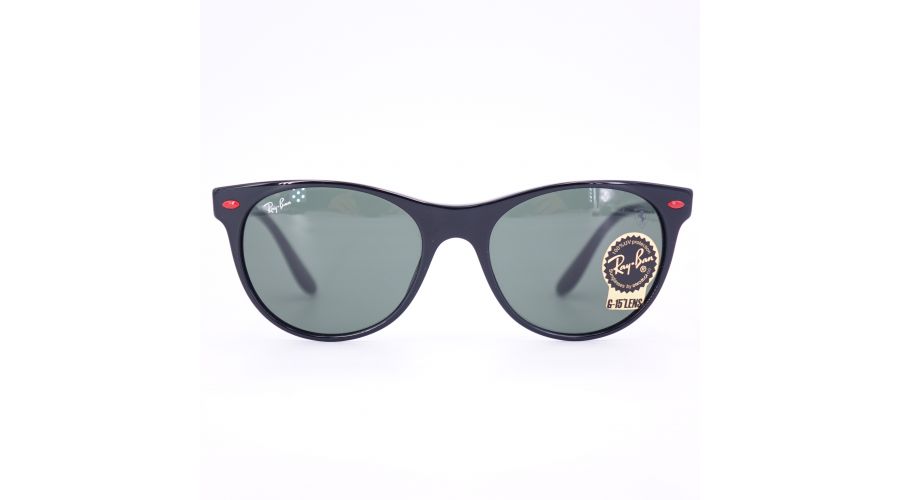 RB2202-M F601/31- foto 2