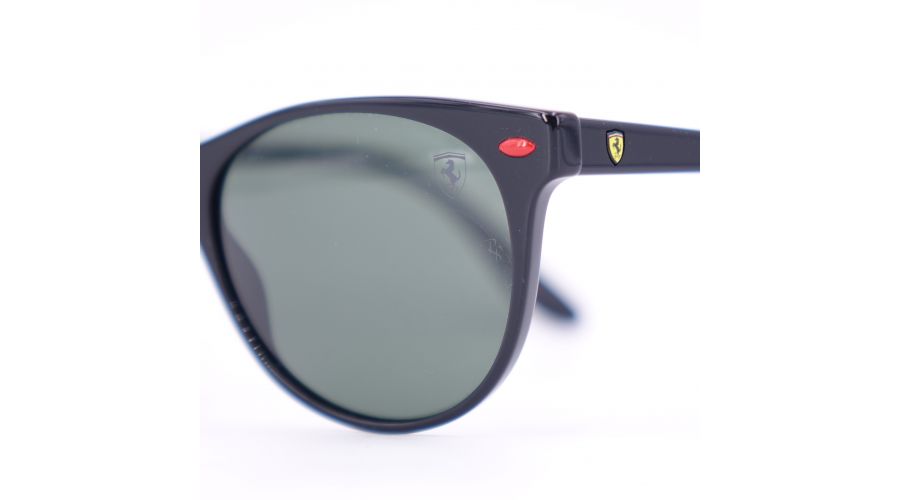 RB2202-M F601/31- foto 3